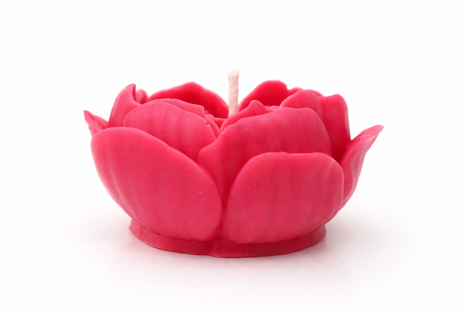 Corazón Florecido - Imagen 4